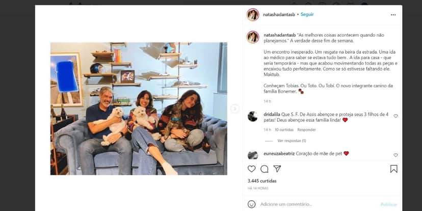 De acordo com Natasha Dantas, adotar o cachorro não estava nos planos (Reprodução) De acordo com Natasha Dantas, adotar o cachorro não estava nos planos (Reprodução)