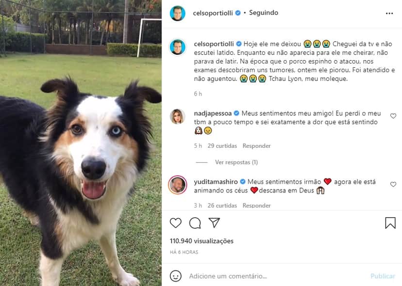 Celso Portiolli perdeu o cachorrinho de estimação (Foto: Reprodução) Celso Portiolli perdeu o cachorrinho de estimação (Foto: Reprodução)