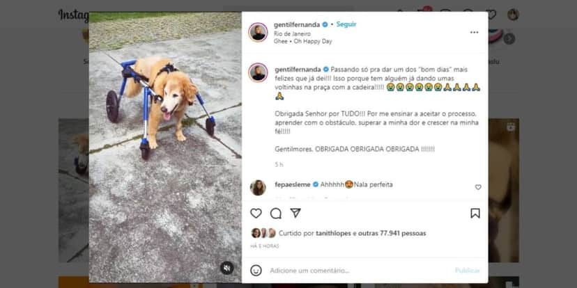 Fernanda Gentil chora ao ver parceira em cadeira de rodas e desabafa em textão: "A minha dor" Fernanda Gentil chora ao ver parceira em cadeira de rodas e desabafa em textão: "A minha dor"