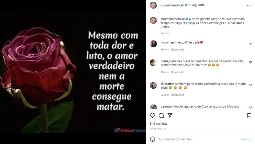 Companheira de Gugu falou da morte de sua gatinha Companheira de Gugu falou da morte de sua gatinha