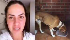 Graciele Lacerda apareceu aos prantos em sua rede social (Foto: Reprodução / Instagram) Graciele Lacerda apareceu aos prantos em sua rede social (Foto: Reprodução / Instagram)