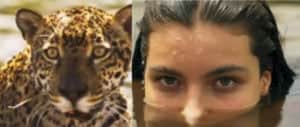 Juma (Alanis Guillen) vai enterrar Maria Marruá (Juliana Paes) após tragédia em 'Pantanal' (Foto: Reprodução / Globo) Juma (Alanis Guillen) vai enterrar Maria Marruá (Juliana Paes) após tragédia em 'Pantanal' (Foto: Reprodução / Globo)
