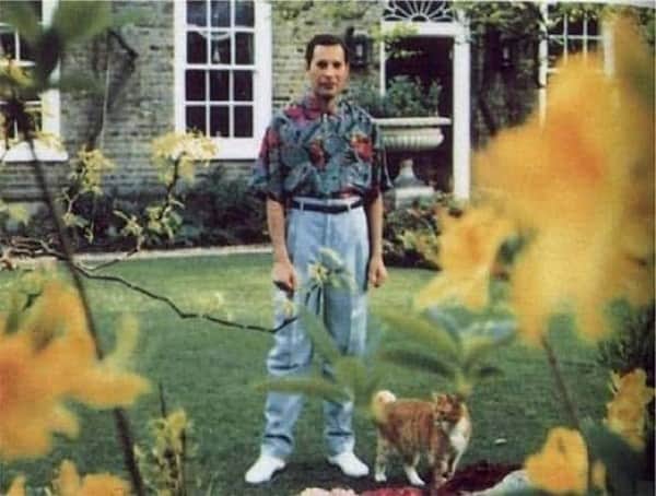 Freddie Mercury (Foto: Reprodução) Freddie Mercury (Foto: Reprodução)