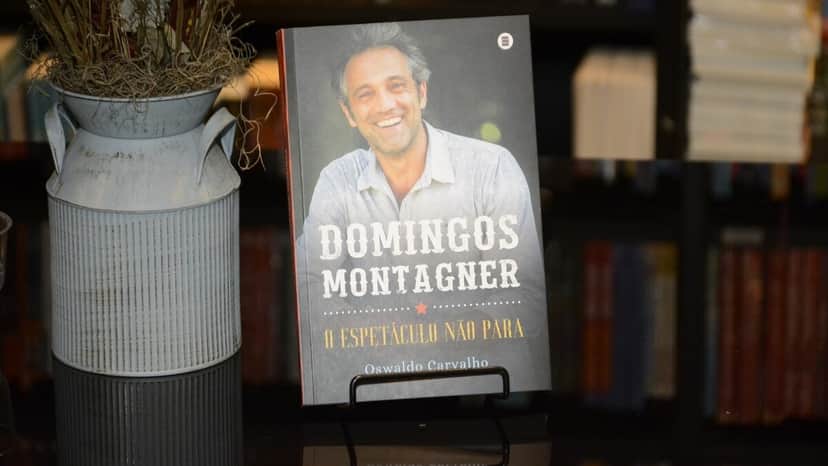 Biografia de Domingos Montagner (Foto: Reprodução) Biografia de Domingos Montagner (Foto: Reprodução)