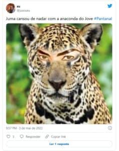 Web repercutiu o capítulo desta terça-feira (03) de 'Pantanal' (Foto: Reprodução / Twitter) Web repercutiu o capítulo desta terça-feira (03) de 'Pantanal' (Foto: Reprodução / Twitter)