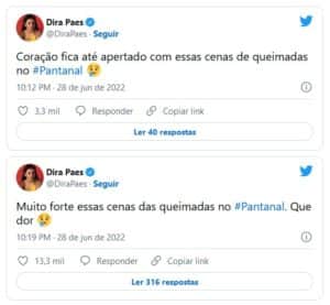 Dira Paes, intérprete de Filó em Pantanal, usou redes sociais para repercutir incêndios no bioma (Foto: Reprodução / Twitter) Dira Paes, intérprete de Filó em Pantanal, usou redes sociais para repercutir incêndios no bioma (Foto: Reprodução / Twitter)