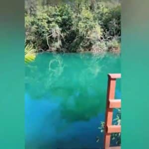 Piscina gigante da mansão de Virgina com Zé Felipe é impressionante e faz os dois recarregarem as energias (Reprodução - Instagram) Piscina gigante da mansão de Virgina com Zé Felipe é impressionante e faz os dois recarregarem as energias (Reprodução - Instagram)
