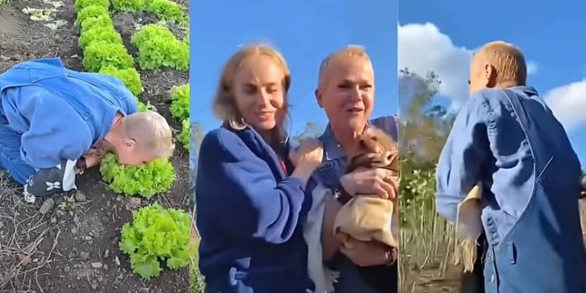 Xuxa aparece comendo alfaces no chão e Angélica retira a amiga (Reprodução: Instagram) Xuxa aparece comendo alfaces no chão e Angélica retira a amiga (Reprodução: Instagram)