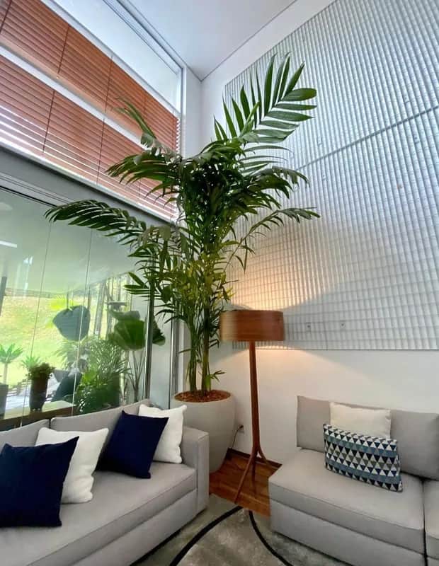 Árvore na sala de Luísa Sonza (Foto: Divulgação) Árvore na sala de Luísa Sonza (Foto: Divulgação)