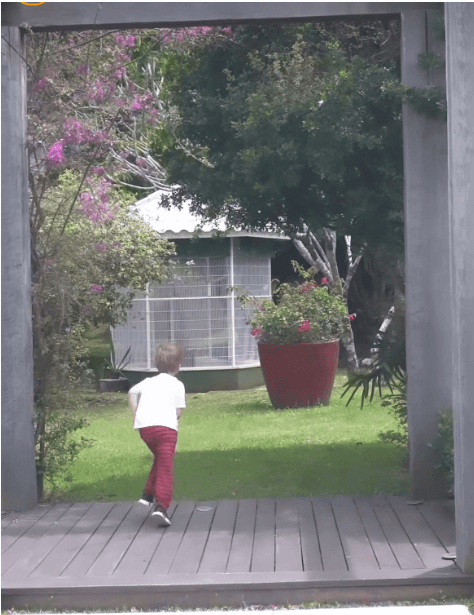 Apresentadora Ana Hickmann mostra jardim da sua casa - Foto Reprodução Instagram Apresentadora Ana Hickmann mostra jardim da sua casa - Foto Reprodução Instagram