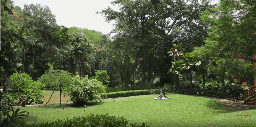 Jardim da casa com muitas plantas e árvores suntuosas (Foto Reprodução/Internet) Jardim da casa com muitas plantas e árvores suntuosas (Foto Reprodução/Internet)