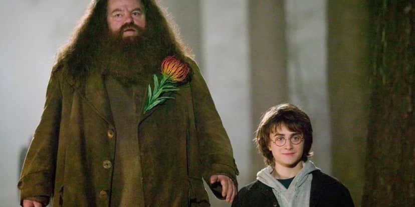Estrela de Harry Potter tem morte confirmada (Reprodução) Estrela de Harry Potter tem morte confirmada (Reprodução)
