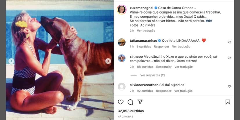 Xuxa faz textão sobre Xuxo (Reprodução) Xuxa faz textão sobre Xuxo (Reprodução)