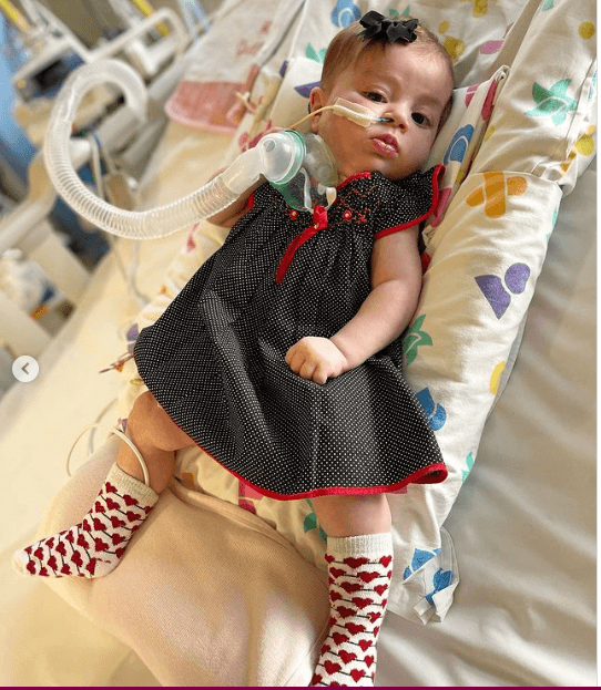 Maria Guilhermina, filha do ator Juliano Cazarré, tem clique raro divulgado e deixa o Brasil emocionados - Foto Reprodução Instagram Maria Guilhermina, filha do ator Juliano Cazarré, tem clique raro divulgado e deixa o Brasil emocionados - Foto Reprodução Instagram