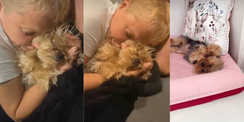 Xuxa revela que sua cachorrinha está com câncer e deixa Brasil triste com a notícia (Reprodução: Instagram) Xuxa revela que sua cachorrinha está com câncer e deixa Brasil triste com a notícia (Reprodução: Instagram)