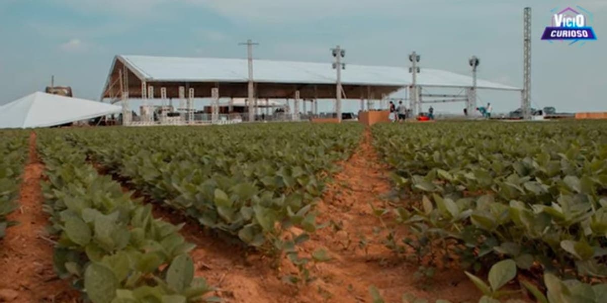 São 39 mil hectares de área produtiva em que o cantor pode cultivar a soja (Reprodução: Youtube) São 39 mil hectares de área produtiva em que o cantor pode cultivar a soja (Reprodução: Youtube)