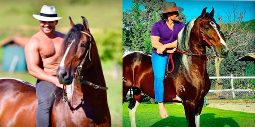 A grande criação de cavalo do sertanejo (Reprodução: Youtube) A grande criação de cavalo do sertanejo (Reprodução: Youtube)