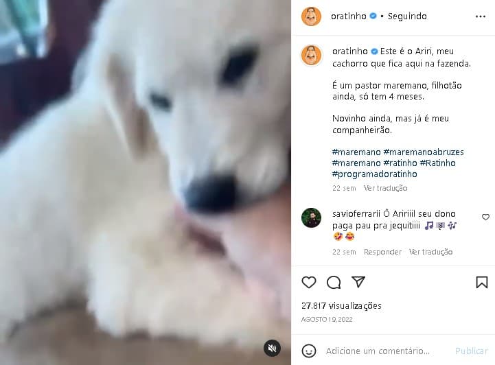 Ratinho surpreendeu ao expor em vídeo o novo integrante de sua família (Foto: Reprodução) Ratinho surpreendeu ao expor em vídeo o novo integrante de sua família (Foto: Reprodução)