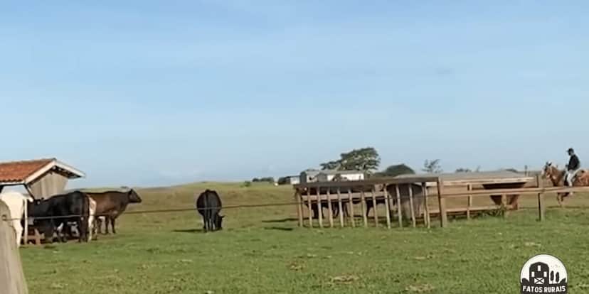 Fazenda Galvão Bueno (Reprodução: Youtube) Fazenda Galvão Bueno (Reprodução: Youtube)