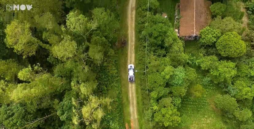 Mais de 1 milhão de metros quadrados Luisa Mell comprou floresta particular e hoje vive em santuário - Foto Reprodução Mais de 1 milhão de metros quadrados Luisa Mell comprou floresta particular e hoje vive em santuário - Foto Reprodução