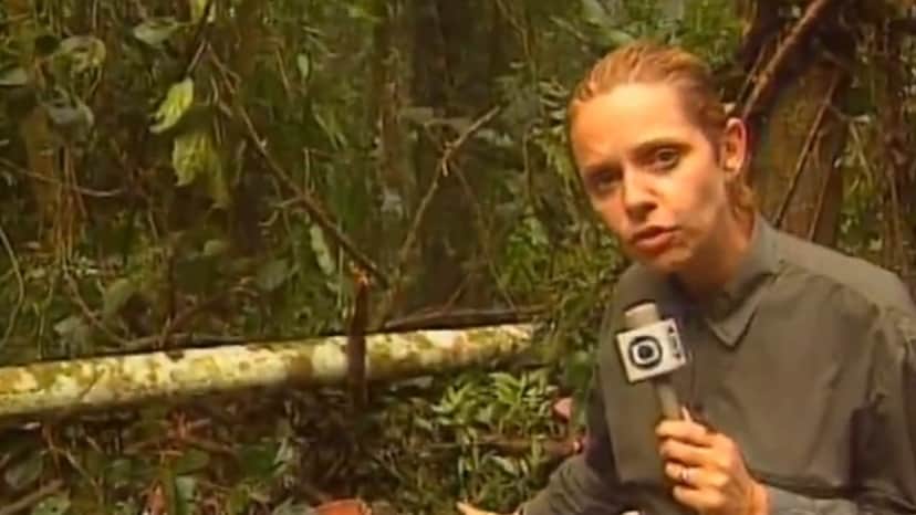 Eleonora Paschoal cobrindo o acidente do Mamonas Assassinas - Foto Reprodução Eleonora Paschoal cobrindo o acidente do Mamonas Assassinas - Foto Reprodução