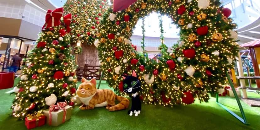 Natal Natal