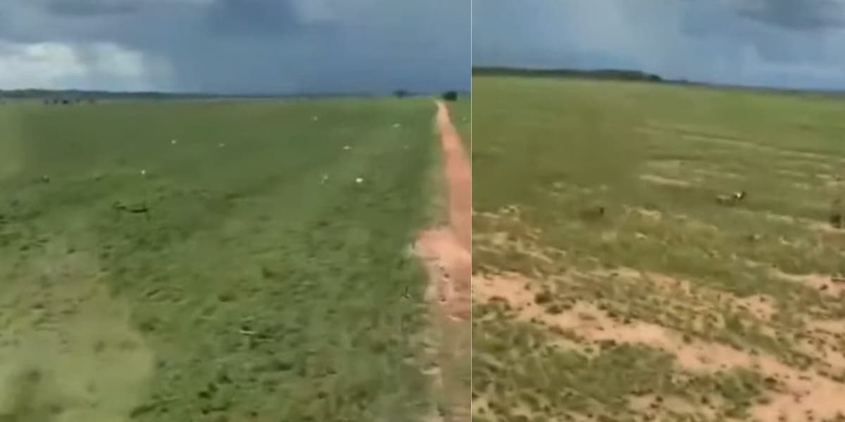 O espaço de área verde é gigante da fazenda da dupla de Cristiano (Reprodução: Youtube) O espaço de área verde é gigante da fazenda da dupla de Cristiano (Reprodução: Youtube)