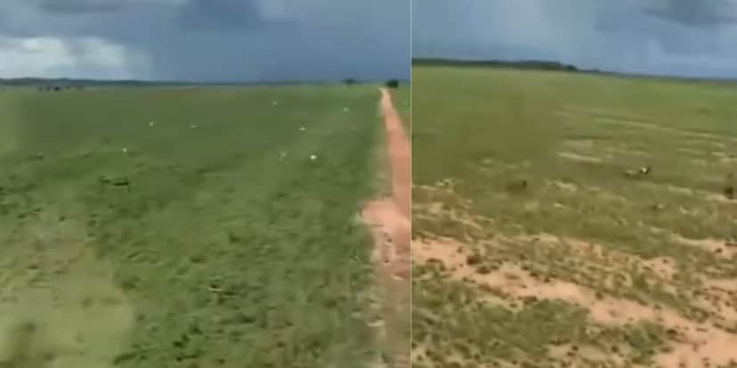 O espaço de área verde é gigante da fazenda da dupla de Cristiano (Reprodução: Youtube) O espaço de área verde é gigante da fazenda da dupla de Cristiano (Reprodução: Youtube)