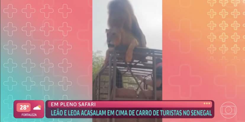 http://tvfoco.uai.com.br/wp-content/uploads/2015/05/Daniela-Mercury.jpg http://tvfoco.uai.com.br/wp-content/uploads/2015/05/Daniela-Mercury.jpg