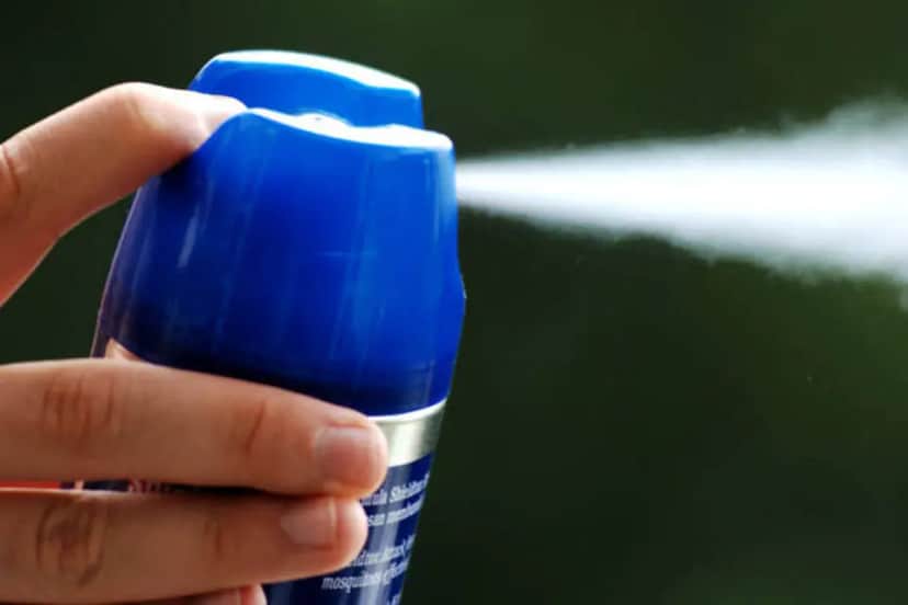 Você precisa saber toda a verdade sobre não poder matar uma barata pisando nela, de forma alguma - Foto Internet Você precisa saber toda a verdade sobre não poder matar uma barata pisando nela, de forma alguma - Foto Internet