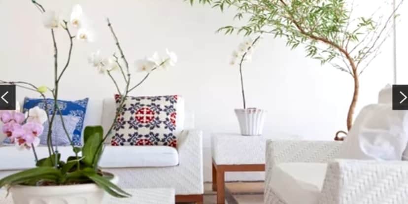 Decoração simples e cheia de plantas pela casa (Reprodução: Youtube) Decoração simples e cheia de plantas pela casa (Reprodução: Youtube)