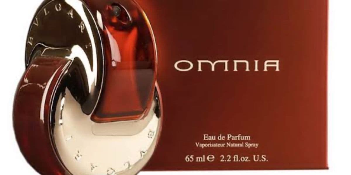Omnia Marrom (Reprodução/Internet) Omnia Marrom (Reprodução/Internet)