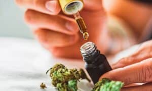Resolução da agência publicada nesta semana diz que produtos não tinham registro para serem comercializados (Foto: Reprodução / iStock) Resolução da agência publicada nesta semana diz que produtos não tinham registro para serem comercializados (Foto: Reprodução / iStock)