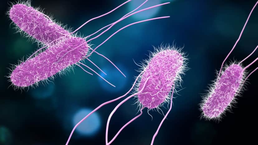 Blog post image Blog post image