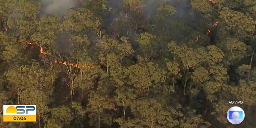 "Bom Dia SP" mostrou incêndio no Parque do Carmo (Foto: Reprodução/TV Globo) "Bom Dia SP" mostrou incêndio no Parque do Carmo (Foto: Reprodução/TV Globo)