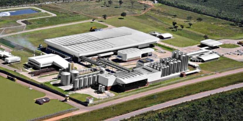 Grupo Petrópolis está com uma dívida de 4 bilhões de reais (Reprodução: Internet) Grupo Petrópolis está com uma dívida de 4 bilhões de reais (Reprodução: Internet)