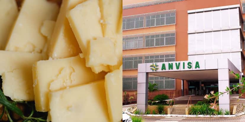 Proibição da Anvisa sobre marca de queijo (Reprodução: Montagem TV Foco) Proibição da Anvisa sobre marca de queijo (Reprodução: Montagem TV Foco)