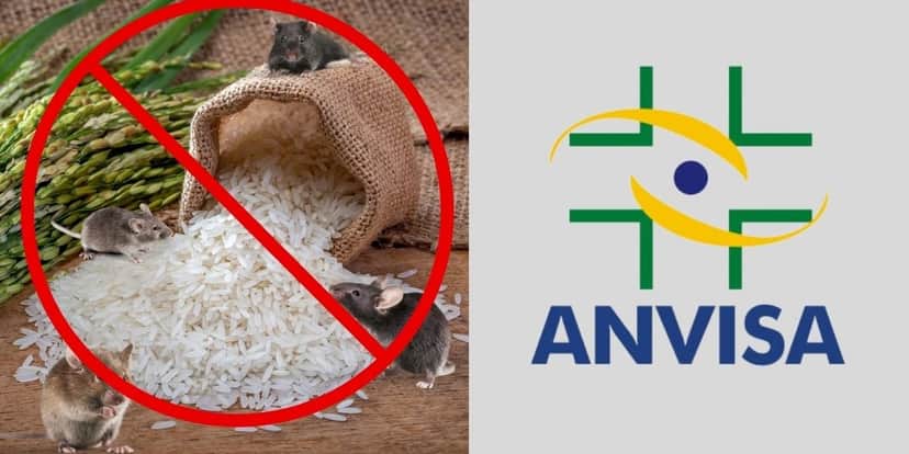 Logo da Anvisa e arroz proibido cheio de ratos - Foto Reprodução Internet Logo da Anvisa e arroz proibido cheio de ratos - Foto Reprodução Internet