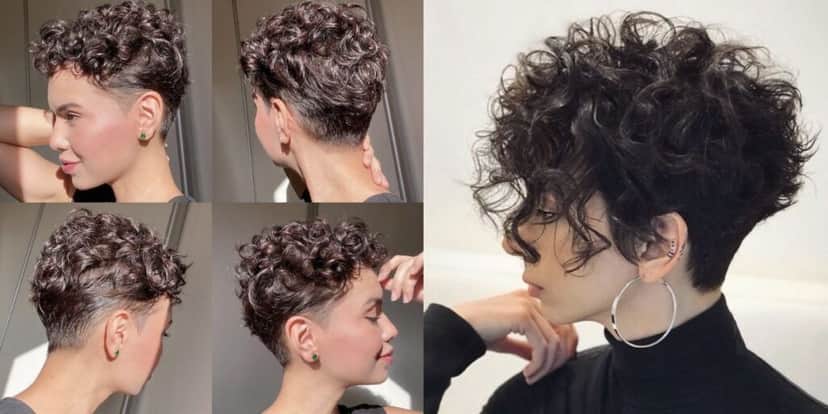 http://tvfoco.uai.com.br/wp-content/uploads/2015/05/Daniela-Mercury.jpg http://tvfoco.uai.com.br/wp-content/uploads/2015/05/Daniela-Mercury.jpg