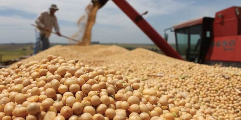 Empresa alimentícia tem falência decretada (reprodução/Internet) Empresa alimentícia tem falência decretada (reprodução/Internet)