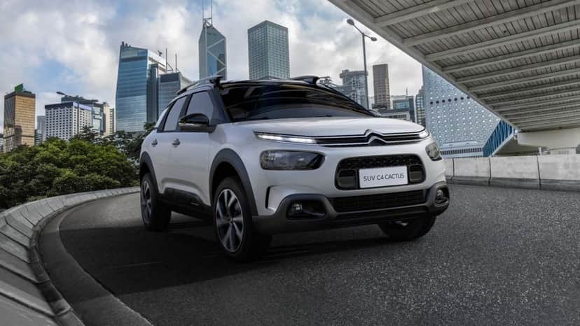 C4 Cactus (Foto: Divulgação) C4 Cactus (Foto: Divulgação)