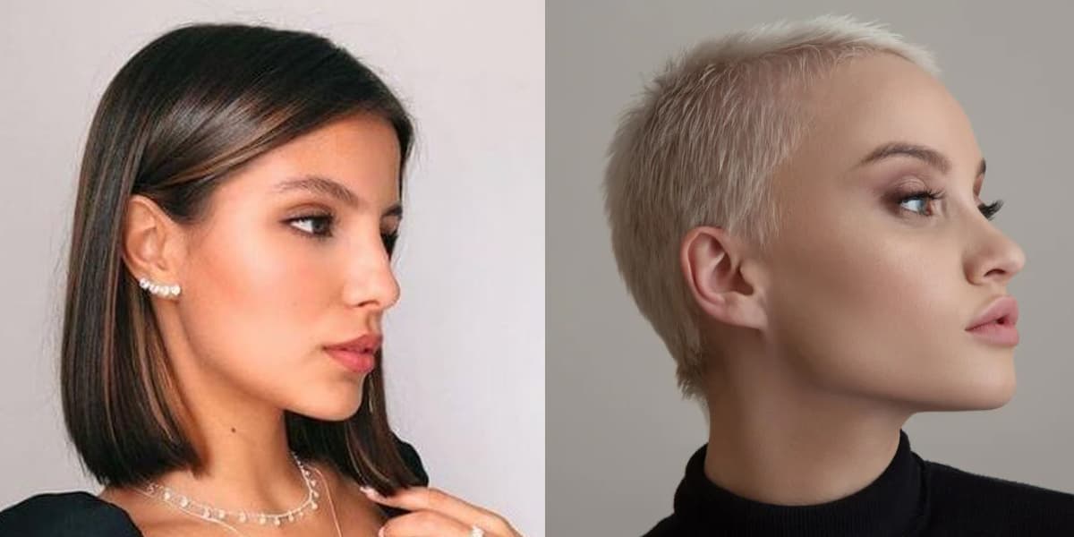 Chanel e Buzzcut (Foto: Reprodução - Blog MODA DA MULHER) Chanel e Buzzcut (Foto: Reprodução - Blog MODA DA MULHER)