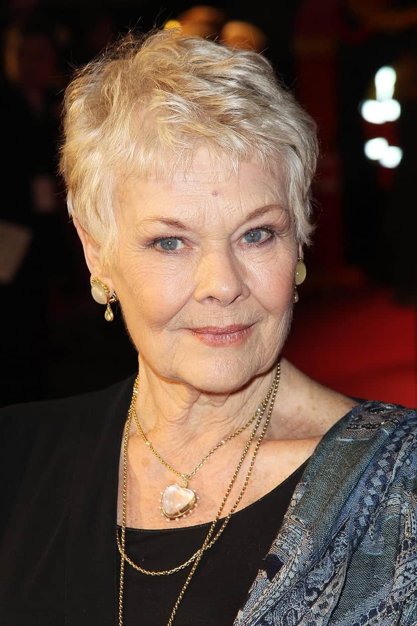 Judi Dench corte Pixie curto - (Reprodução Internet) Judi Dench corte Pixie curto - (Reprodução Internet)