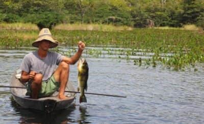 Auxílio Extraordinário para Pescadores (Foto: Reprodução / Internet) Auxílio Extraordinário para Pescadores (Foto: Reprodução / Internet)