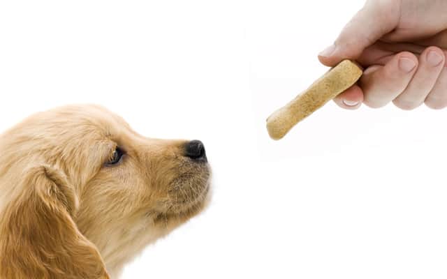 Petiscos para cães e a proibição da Anvisa (Foto: Divulgação) Petiscos para cães e a proibição da Anvisa (Foto: Divulgação)