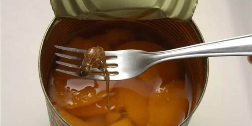 A Anvisa determina um limite para matérias estranhas nos alimentos (Foto: Reprodução/ Internet) A Anvisa determina um limite para matérias estranhas nos alimentos (Foto: Reprodução/ Internet)