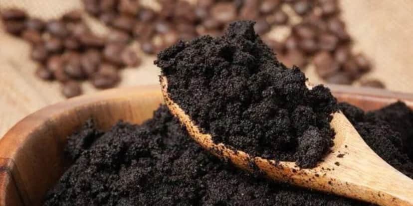Borra de café ajuda a acabar com celulite (Foto: Reprodução/ Internet) Borra de café ajuda a acabar com celulite (Foto: Reprodução/ Internet)
