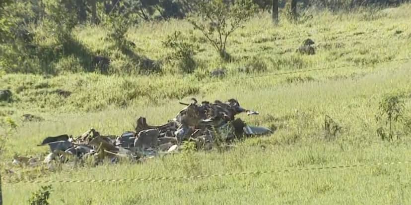 Destroços aeronave (Foto: Reprodução / Globo) Destroços aeronave (Foto: Reprodução / Globo)