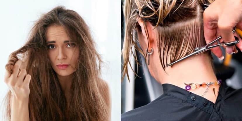Mulher com cabelo longo e outra cortando - Foto Reprodução Internet Mulher com cabelo longo e outra cortando - Foto Reprodução Internet