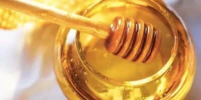 Mel (Foto: Reprodução/ Internet) Mel (Foto: Reprodução/ Internet)